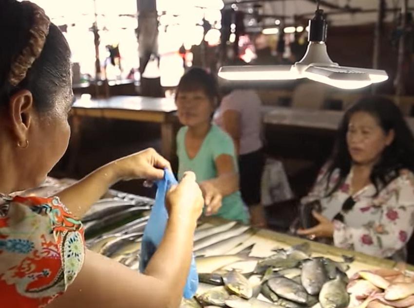 Мать-одиночка продавала рыбу, чтобы ее сын смог получить хорошую профессию. Ее усилия не прошли даром