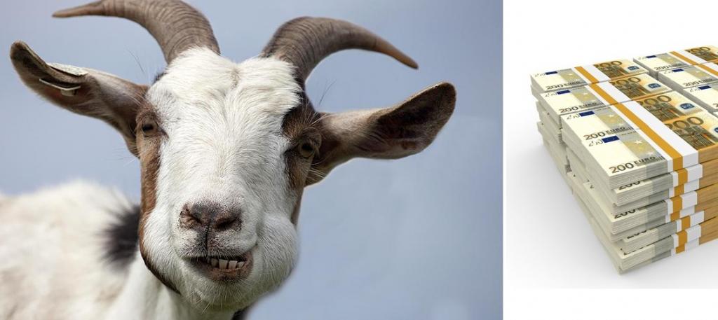 Ужин на 20 тысяч евро: глупая коза в одночасье обрушила планы хозяев на покупку земельного участка