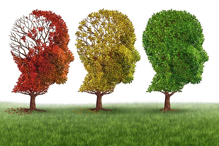 Разум стареет незаметно: 3 привычки, защищающие мозг от когнитивных искажений