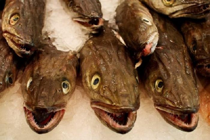 Продавцы рыбы раскрыли секрет, почему хек всегда продается без головы