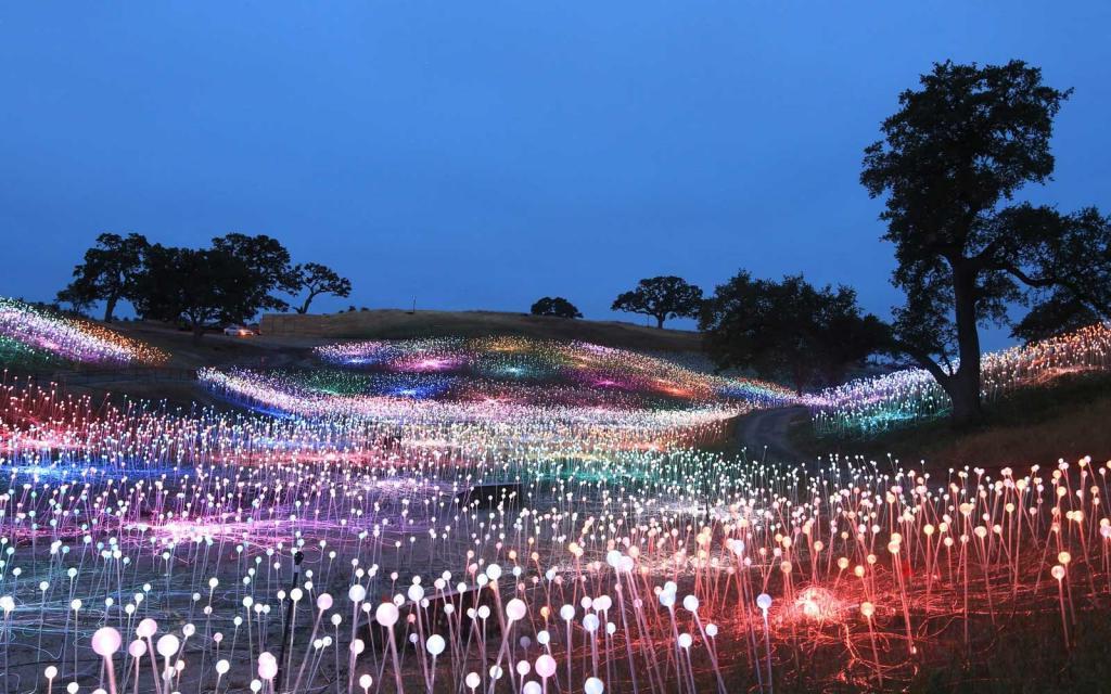 "Поле света": потрясающие фото инсталляции, которую придумал художник Брюс Манро