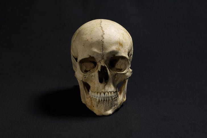 Ученые воссоздали лицо человека, жившего 1300 лет тому назад: что у них получилось