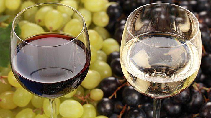 Белое - панкам, красное - собачникам: исследование связало цвет любимого вина и особенности характера