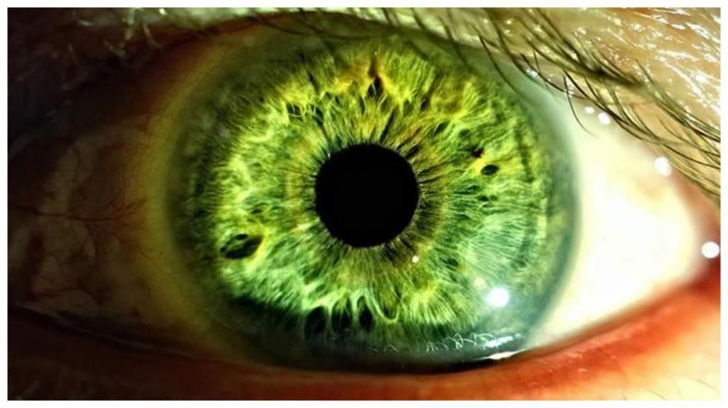 Люди с зелеными глазами уникальны: черты характера, которые присущи лишь им