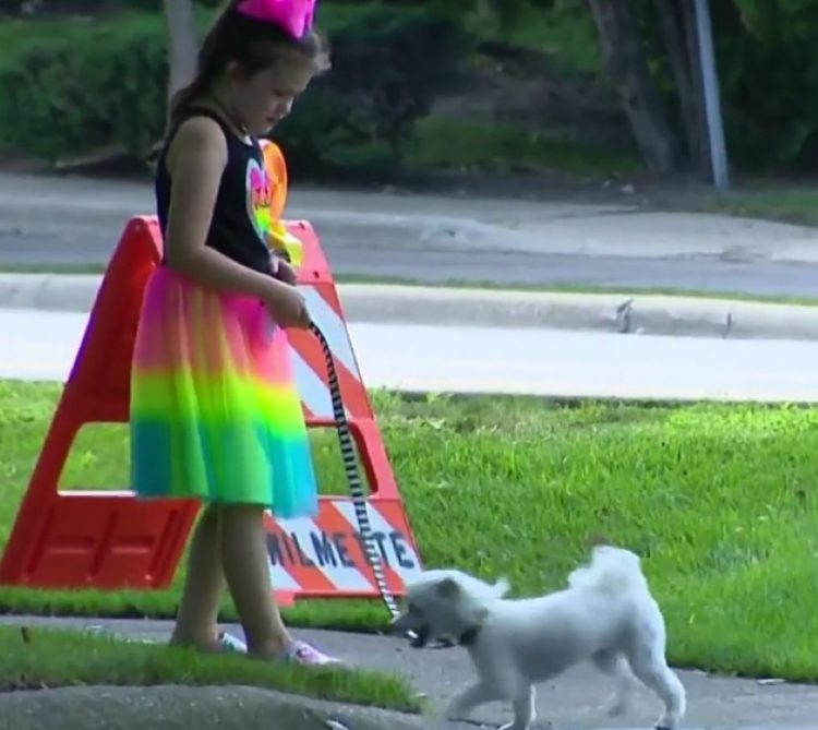8-летняя девочка одна гуляла с щенком. Увидев это, соседи обратились в полицию