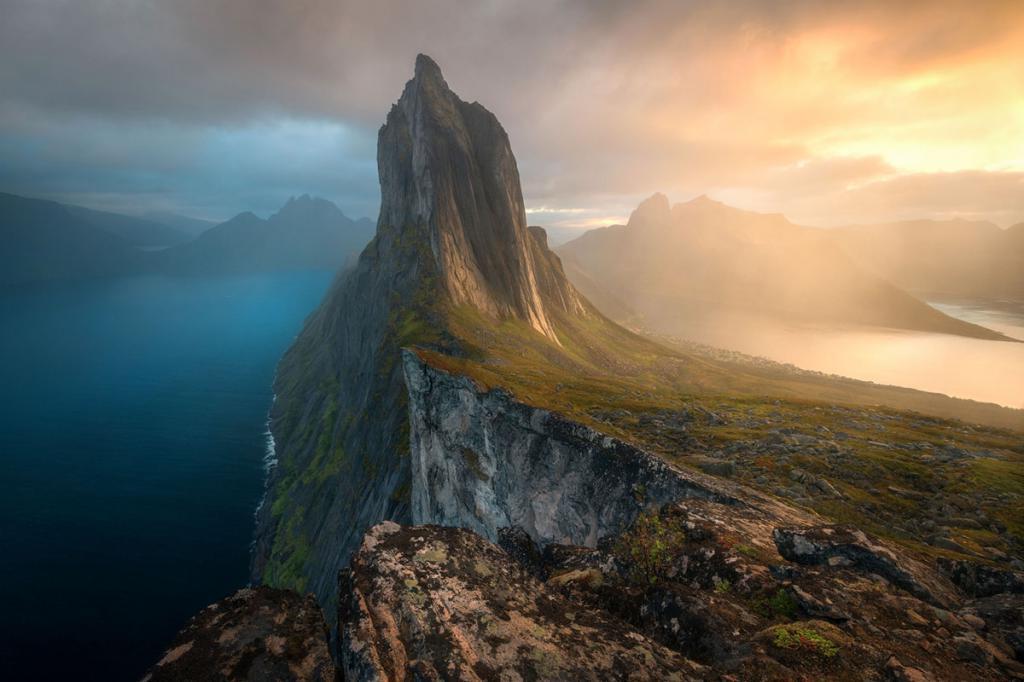 Плывущий медведь и морской дракон: лучшие фотографии BigPicture Natural World 2019