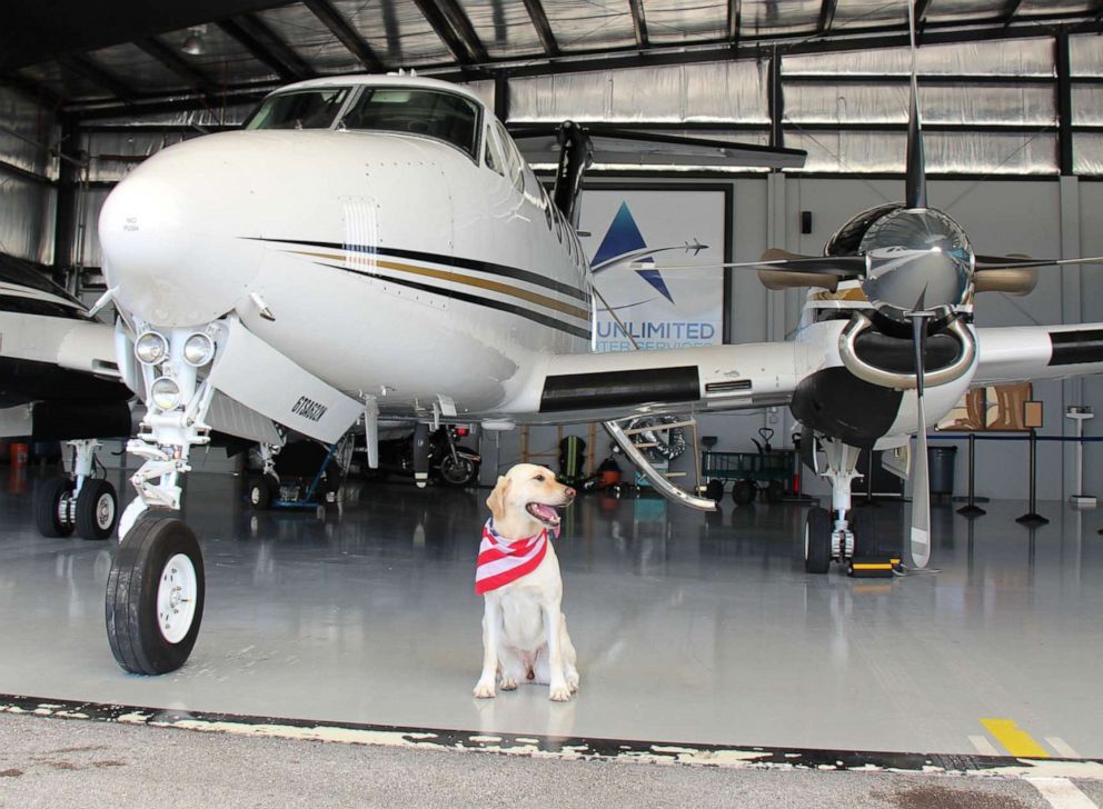 Грегг и Бриа: собака со своим хозяином-пилотом налетала многие тысячи миль в небе