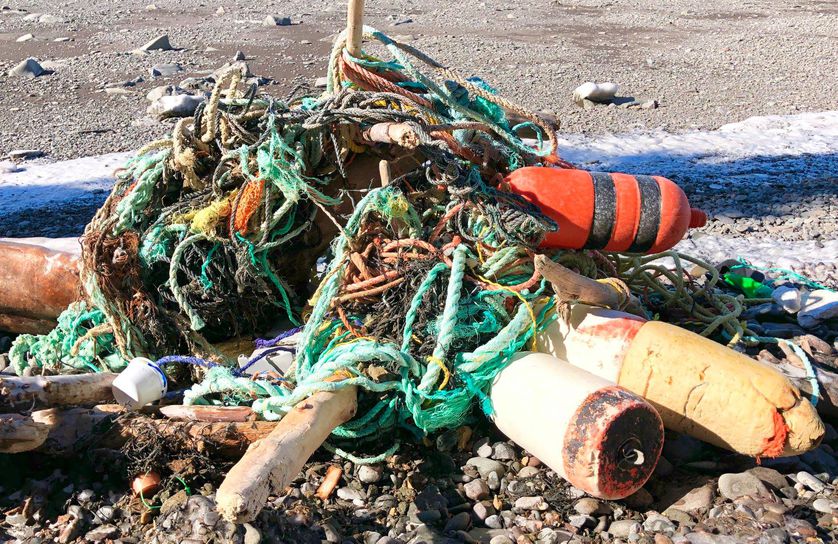 Жительница Канады очищает пляжи от мусора и собрала 2,4 тонны всего за год