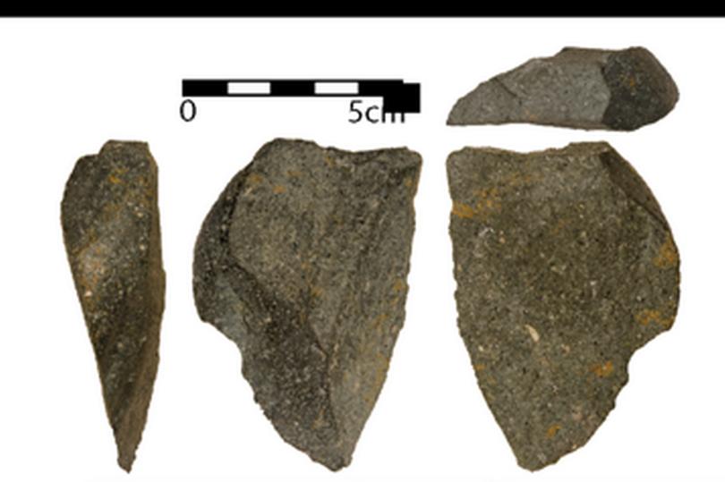 В Африке археологи обнаружили набор самых древних режущих инструментов в мире: их возраст - 2,6 млн лет
