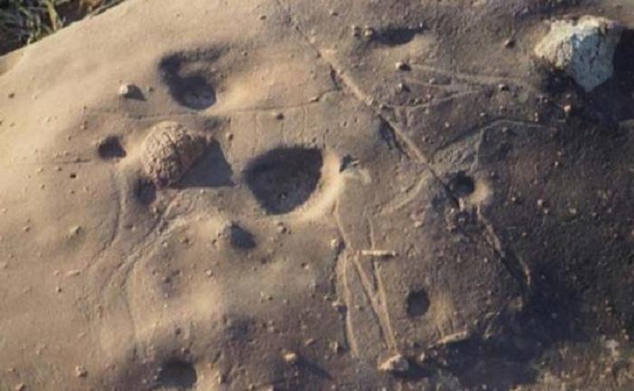 В Южной Африке археологи обнаружили наскальные рисунки, которым 8 тысяч лет