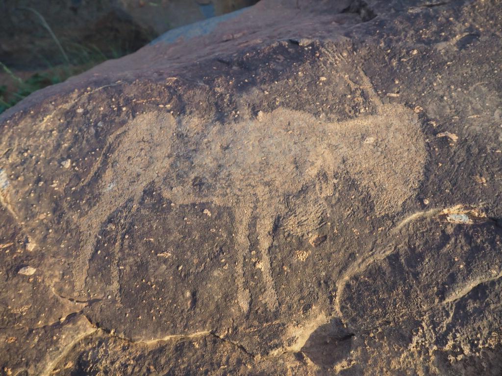 В Южной Африке археологи обнаружили наскальные рисунки, которым 8 тысяч лет