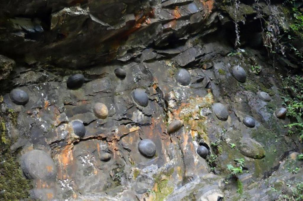 Разгадана тайна скалы, которая каждые 30 лет «несет» яйца и сбивает с толку ученых