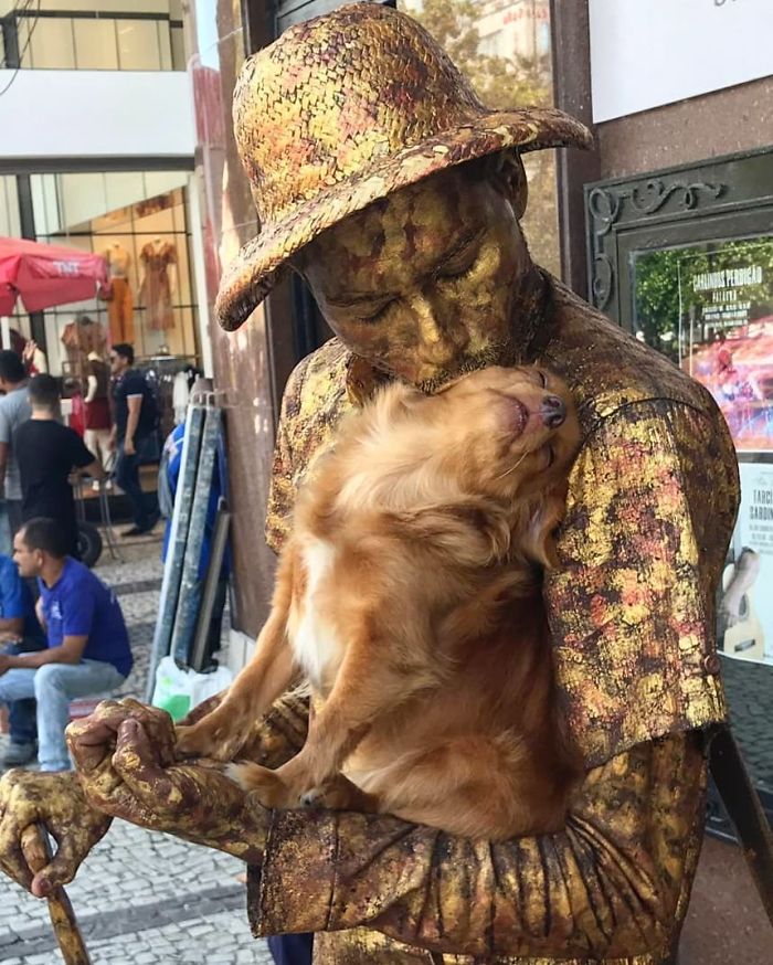 Венесуэльский уличный артист выступил с новой программой «Бронзовая живая статуя». Ее изюминкой стала маленькая собачка