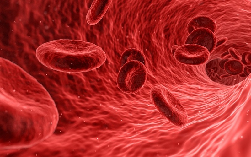 Пуповинная кровь - источник стволовых клеток