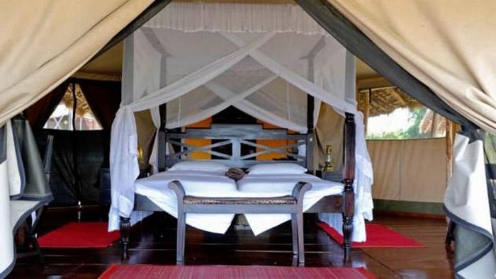 Экотуризм: роскошные шатры для наблюдения за дикой природой в курортном отеле Retired cricketer's