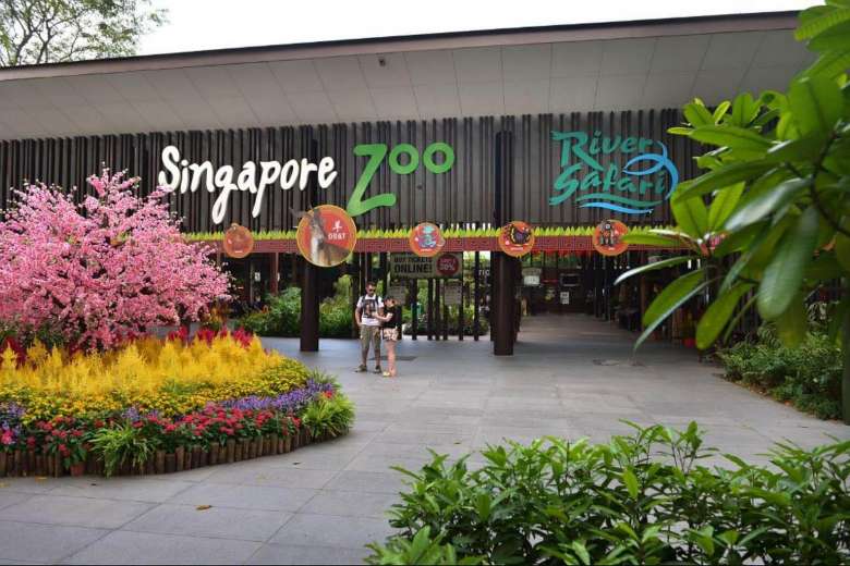 Женщину разыграли в зоопарке Сингапура на шоу змей: ее реакция облетела интернет (видео)