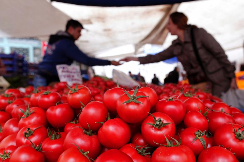 Обман чистой воды: откуда на самом деле к нам приезжают краснодарские помидоры