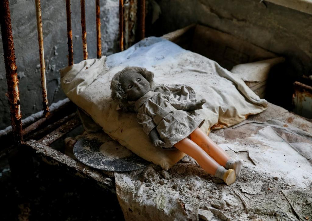 Появление бурого медведя, возрождение лошадей Пржевальского: что произошло после ядерной катастрофы в Чернобыле