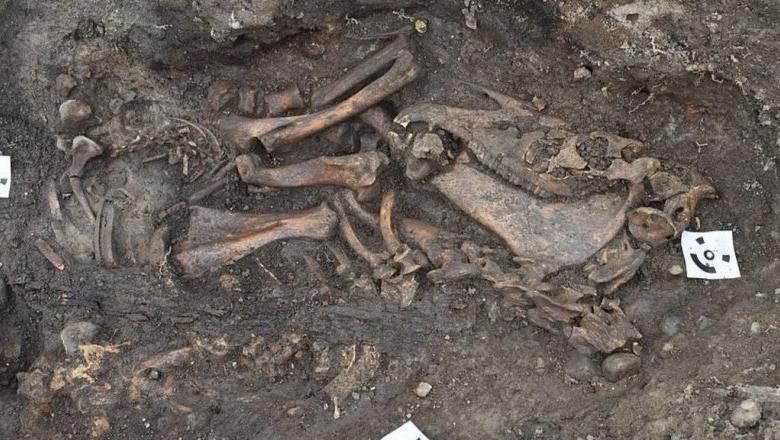 Археологи вскрыли могилы викингов в Швеции. Личные вещи, найденные в захоронении, их удивили