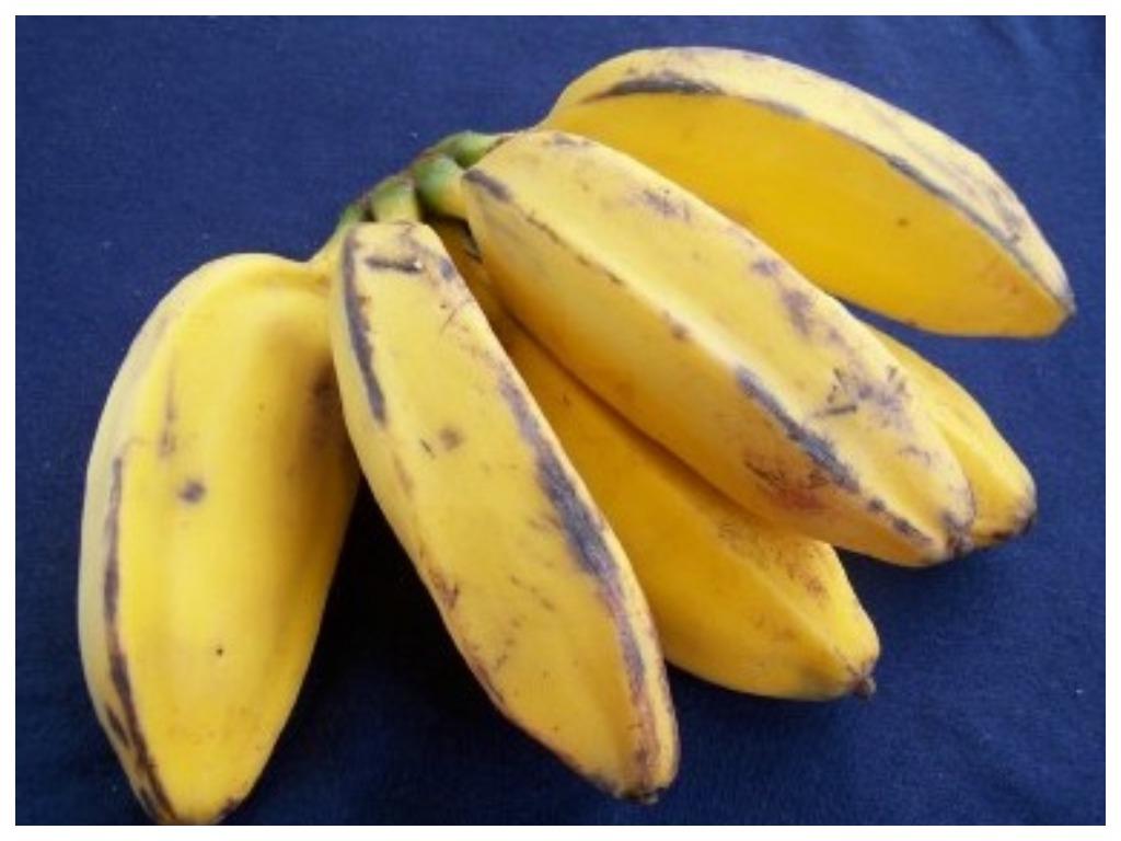 Мало кто знает, на что способны бананы, которые мы считаем "некондицией": удивительные способности плодов "саба"