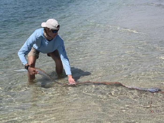 "Прежде я не видел подобного": рыбаки увидели на песке странное мерцающее существо и очень удивились