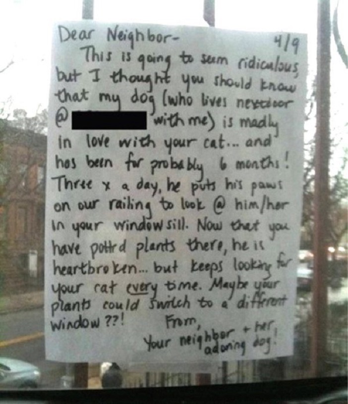 Каждый день собака смотрела на окно соседей. Однажды она перестала это делать, и хозяйка написала соседям записку