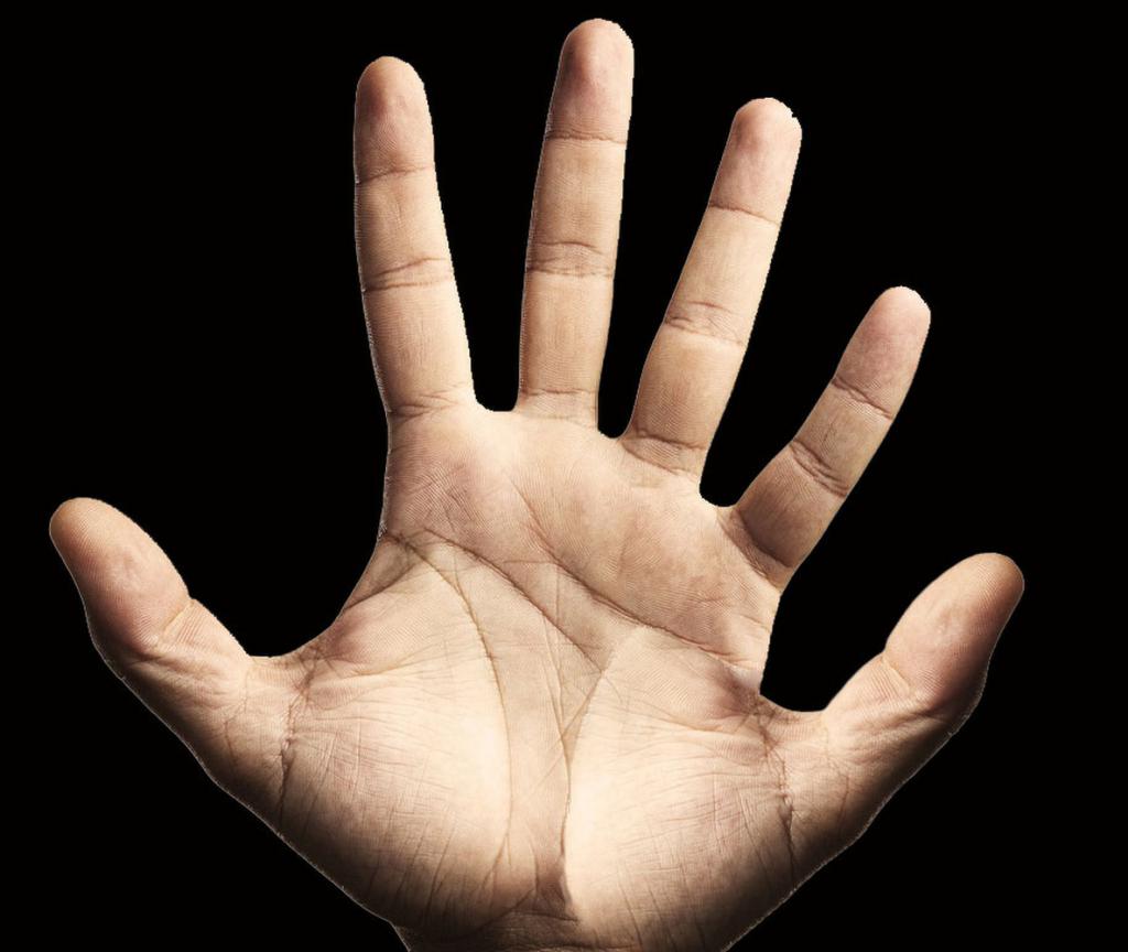 шесть пальцев на руке
