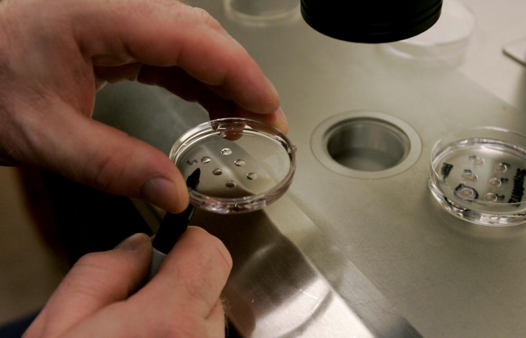 Исследование клеток эмбриона