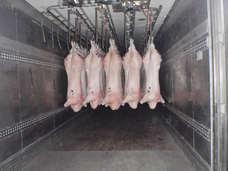Перевозка мяса: правила, условия и требования