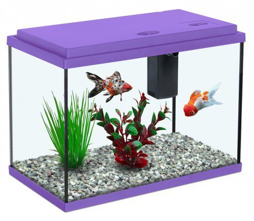 комнатный аквариум
