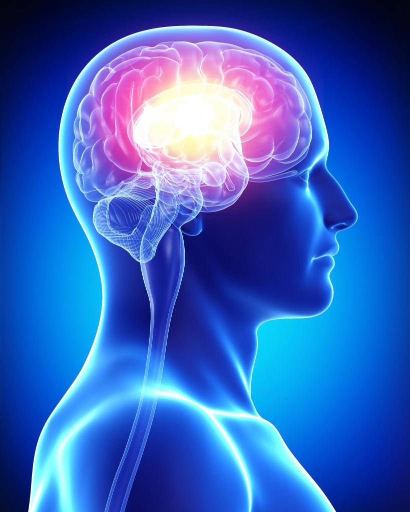 Синус-тромбоз головного мозга: причины, симптомы, диагностика и лечение