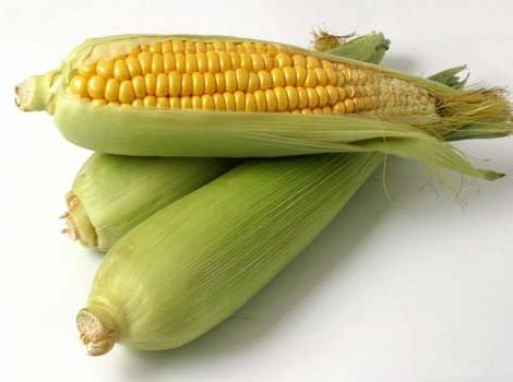 срок хранения кукурузы