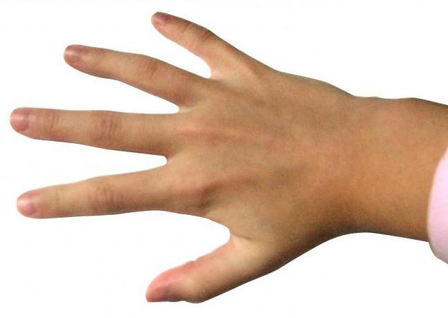 Название пальцев руки человека 