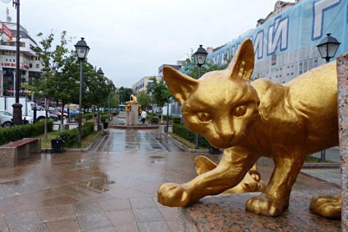 Сквер сибирских кошек тюмень