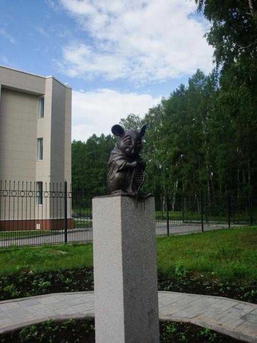 Новосибирский академгородок