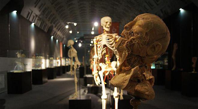Выставка тело человека