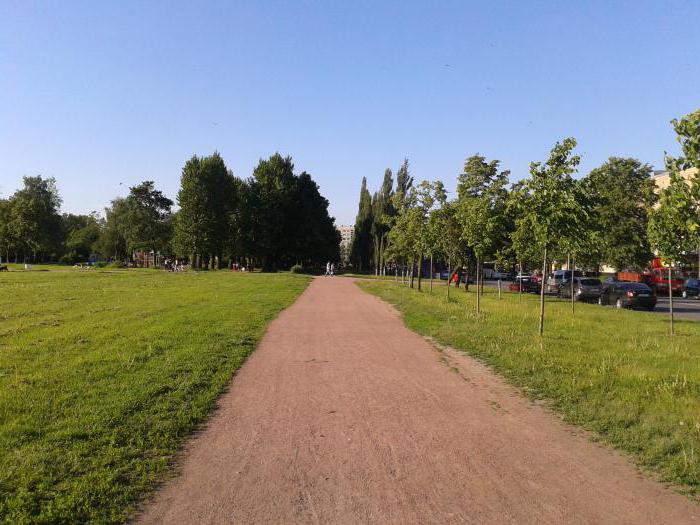 Полюстровский парк санкт петербург