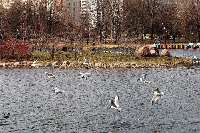 Ангарские пруды москва