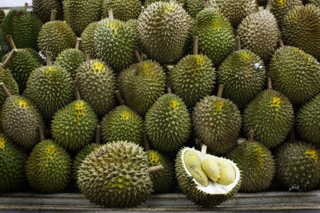 какие фрукты на бали дуриан