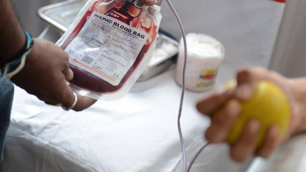 Диета Перед Донацией Крови Донора