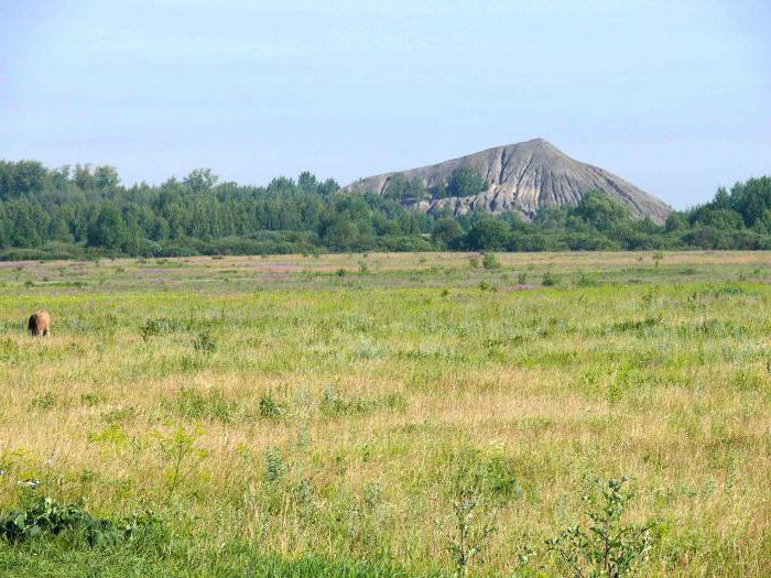 Богородицк тульская область фото