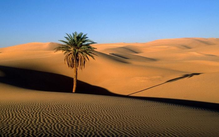 пустыни африки