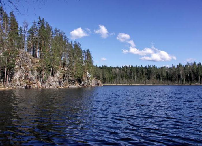 треугольное озеро ленинградская область
