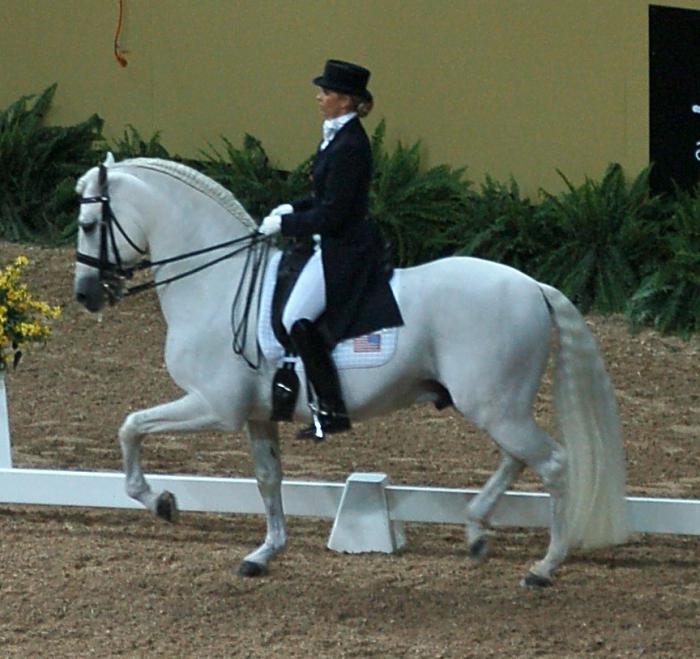 андалузская лошадь характер