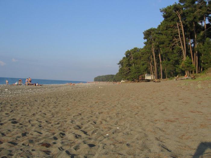абхазия песчаный пляж частный сектор 