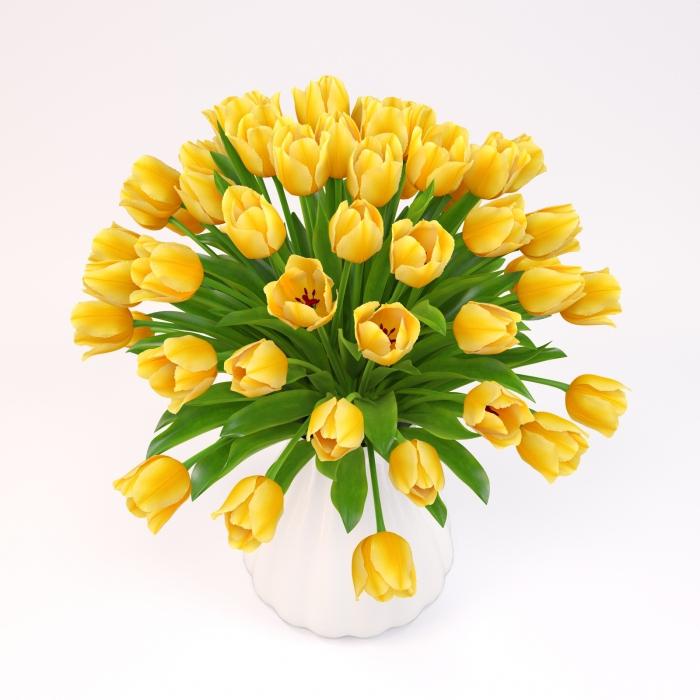 желтые тюльпаны значение