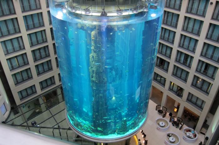 где самый большой аквариум