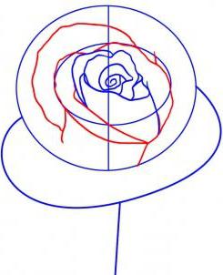 нарисовать розу