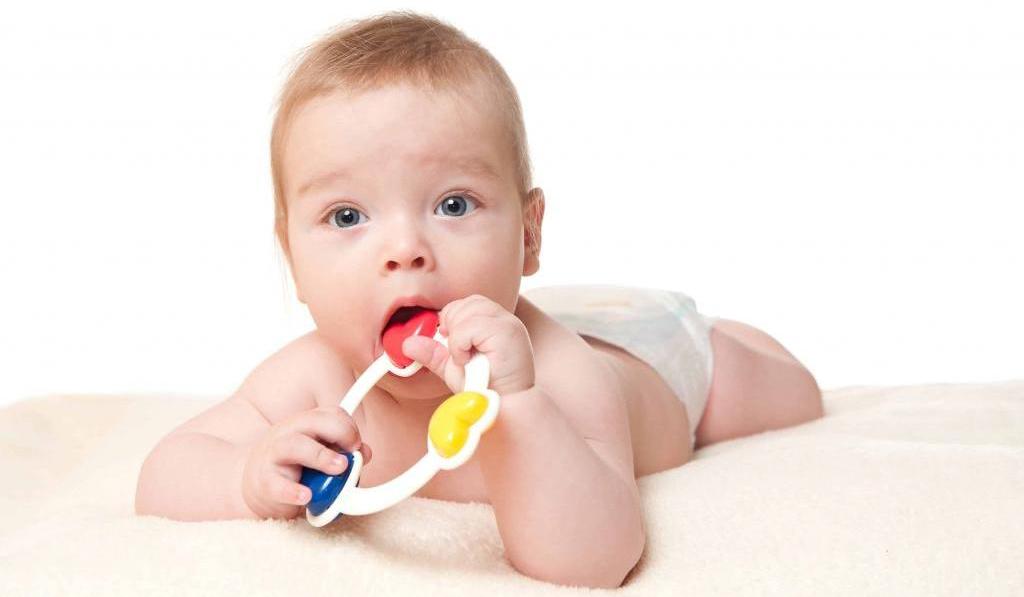 Когда ребенок начинает держать игрушку: нормы развития по месяцам, проявление новых навыков, упражнения