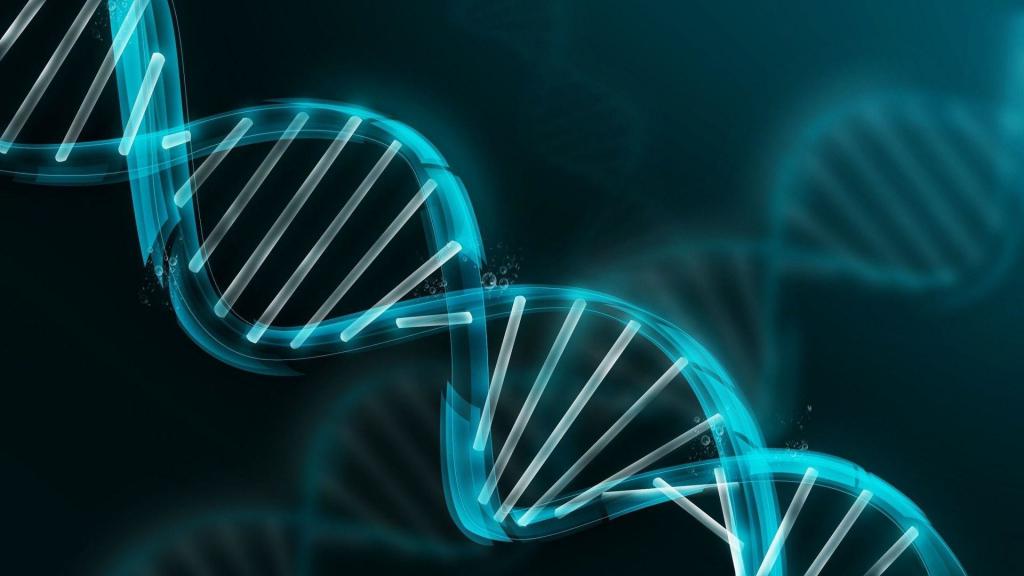 Пуриновые основания - составляющие ДНК